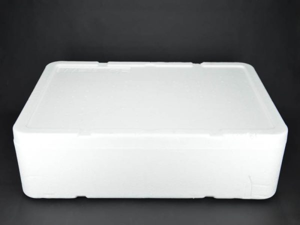 Caixa Térmica de Isopor 7Kg (15 Litros) - Imagem 2